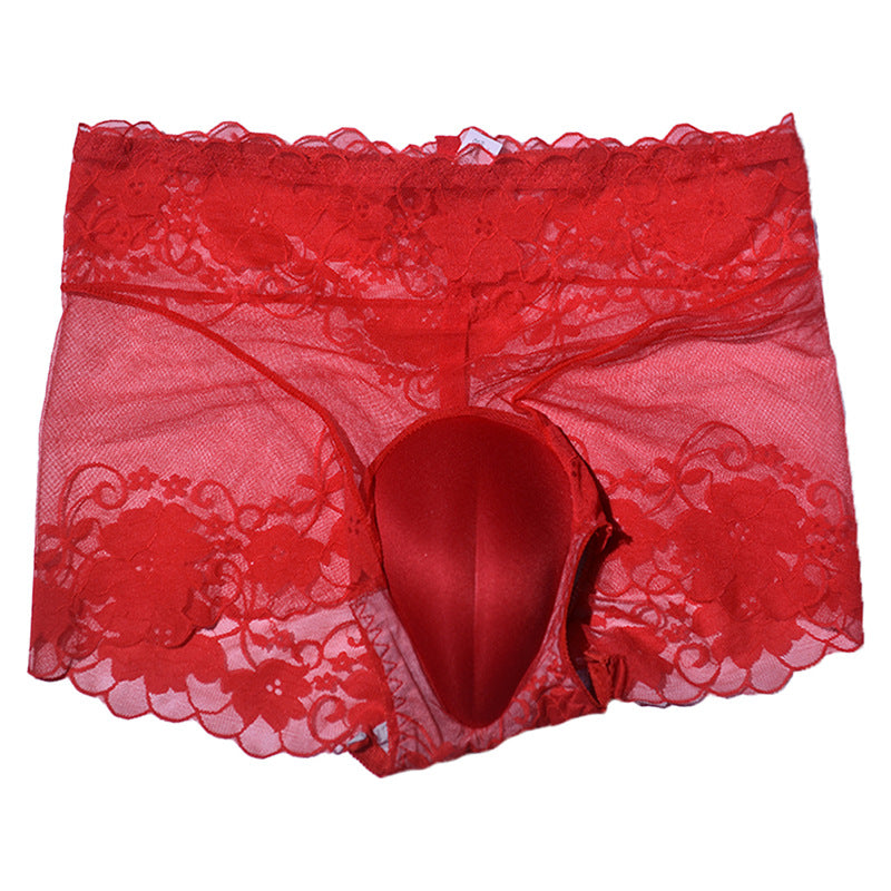 Sexy Lace Hidden jj Men's Underwear3D 3D Cover U High Waist Transparent Mesh Crotch Protection Sponge Pad Underwear