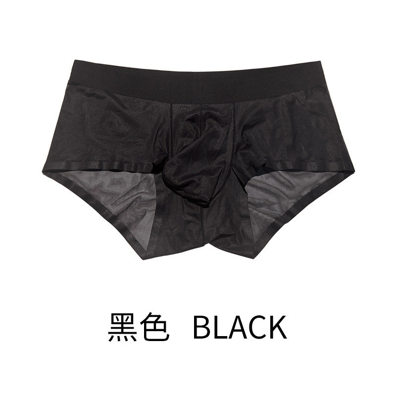 XHN8001Ice Silk Men's Underwear Sexy See-through Fully Transparent Briefs Cool Silky Flowing Sexy Underwear
