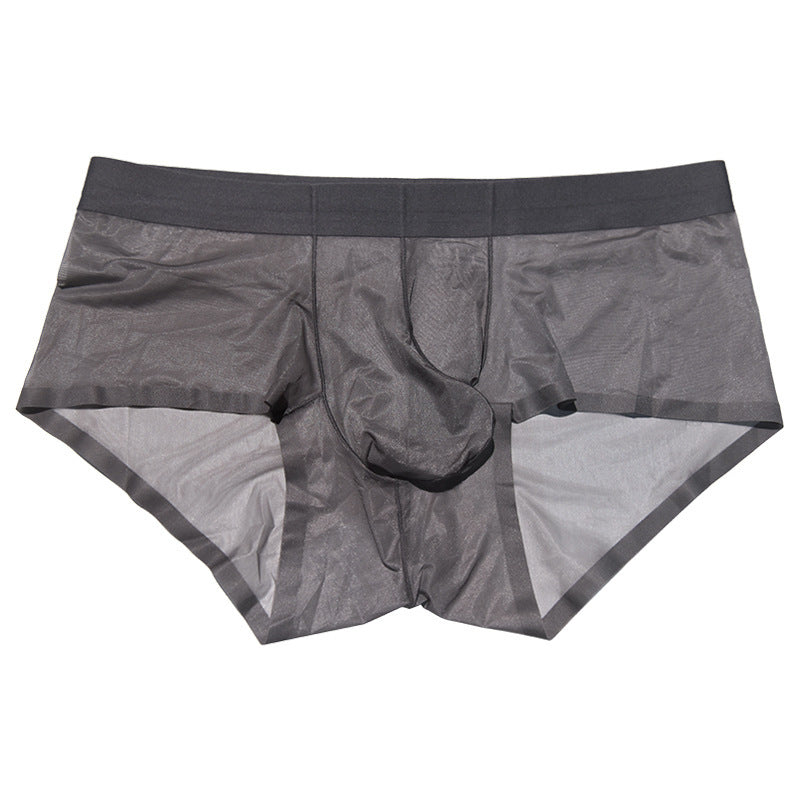 XHN8001Ice Silk Men's Underwear Sexy See-through Fully Transparent Briefs Cool Silky Flowing Sexy Underwear
