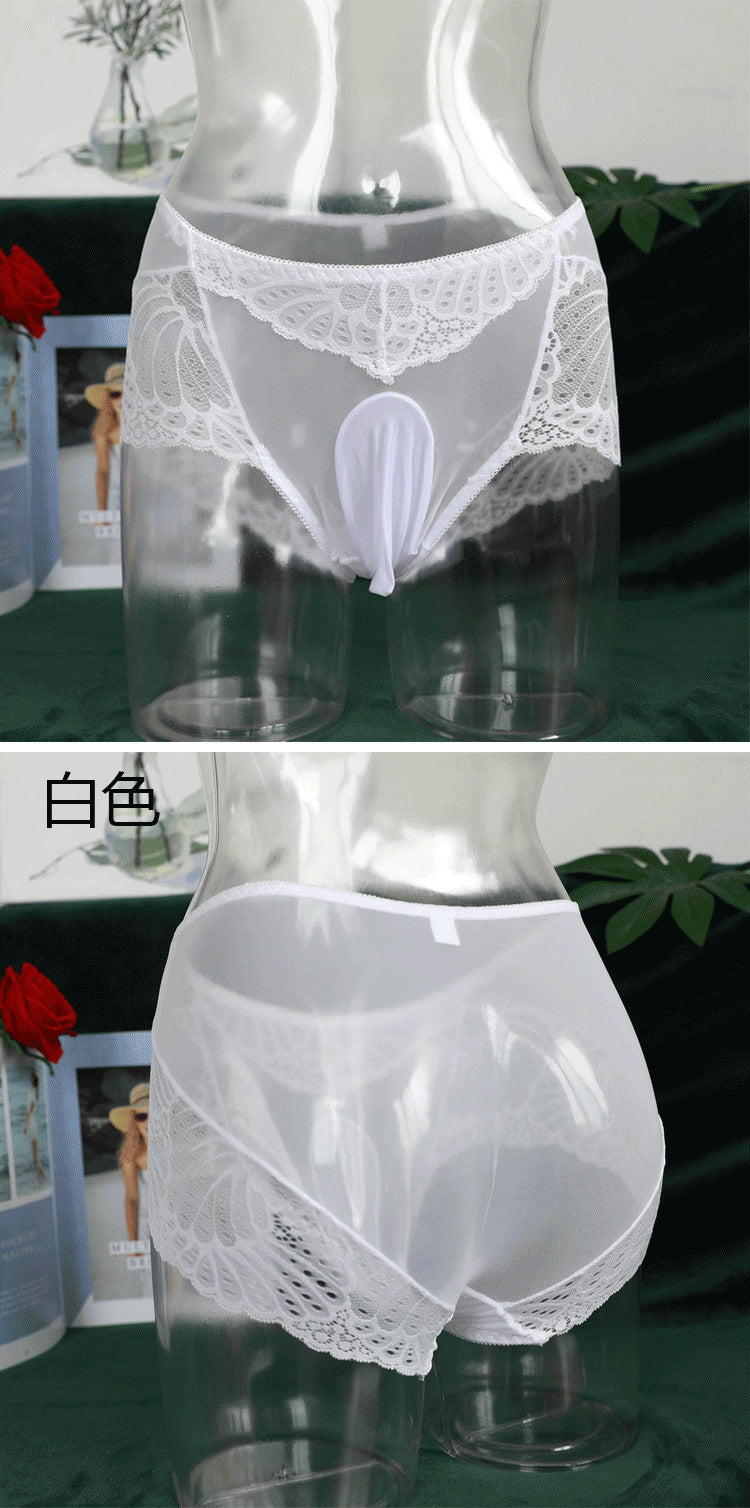 Dropshipping Low Waist Lace Underwear for Men jj Set of Sexy Ultra-thin Stockings and Panties Fully Transparent Mesh Panties