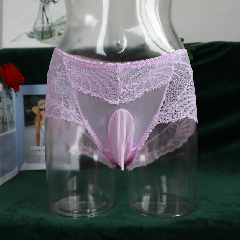 Dropshipping Low Waist Lace Underwear for Men jj Set of Sexy Ultra-thin Stockings and Panties Fully Transparent Mesh Panties