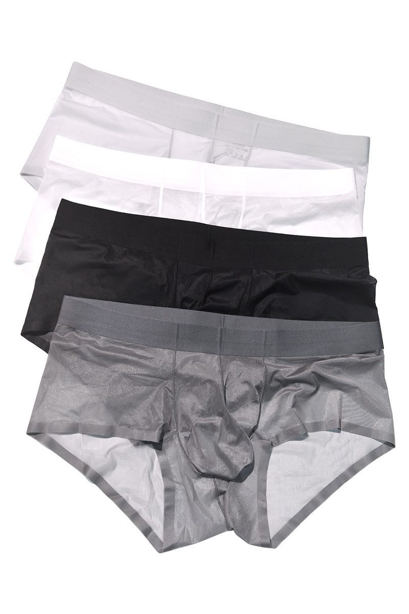 XHN8001Ice Silk Men's Underwear Sexy See-through Fully Transparent Briefs Cool Silky Flowing Sexy Underwear