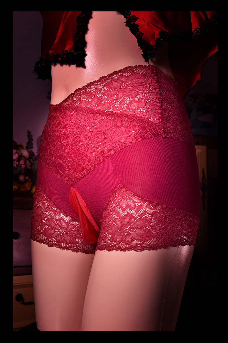 Japanese Style jj Men's Sexy Panties with Stockings, Ultra-thin Soft Mesh Lace Boxer Briefs, Airplane Socks Underwear