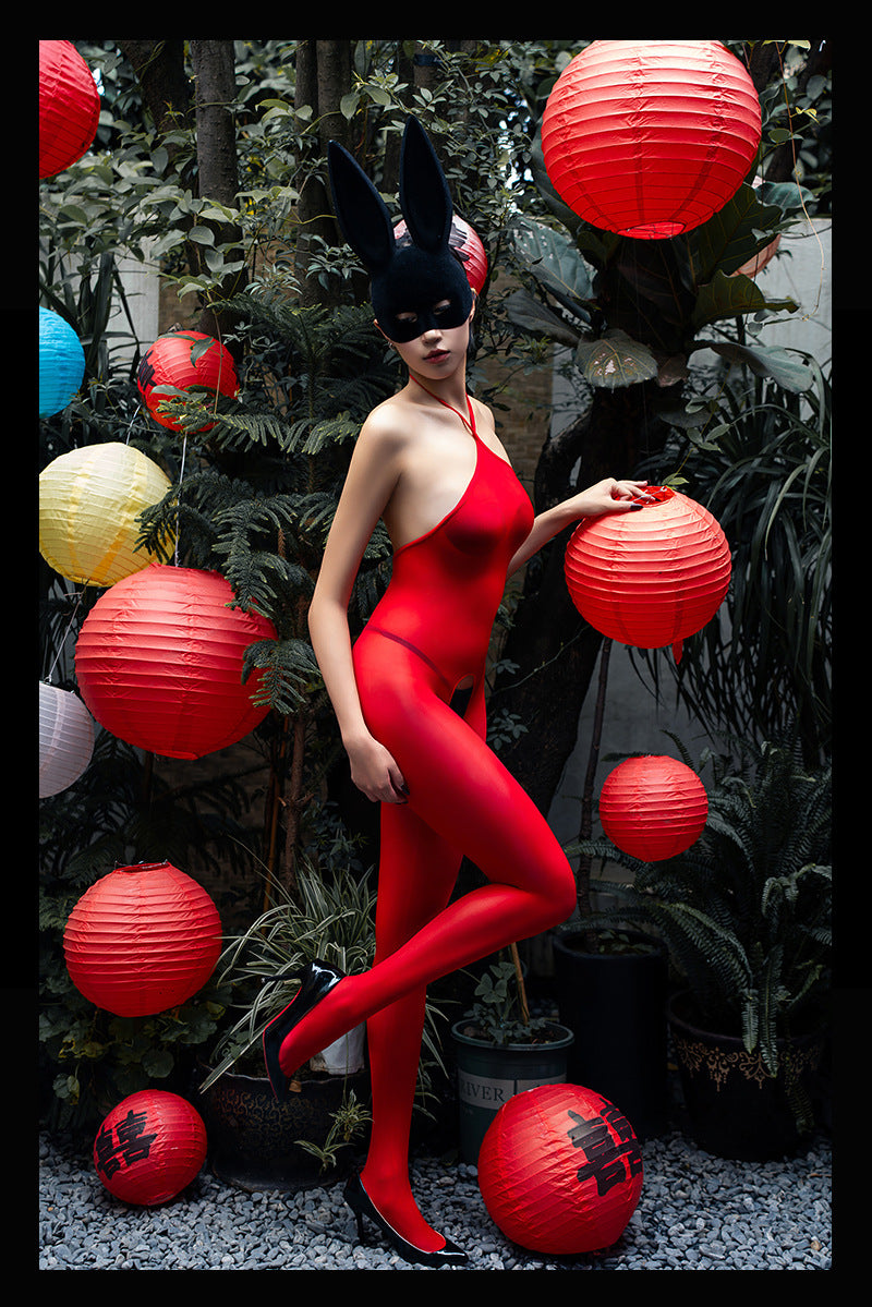 5D Glossy Stockings Bodysuit Sexy See-through Smooth Halter Neck Tie Shaping Bodysuit Open Crotch Temptation Lingerie