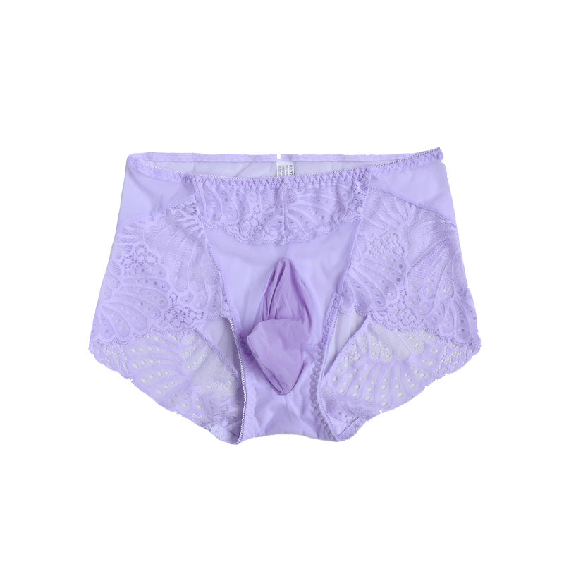 Dropshipping Low Waist Lace Underwear for Men jj Set of Sexy Ultra-thin Stockings and Panties Fully Transparent Mesh Panties