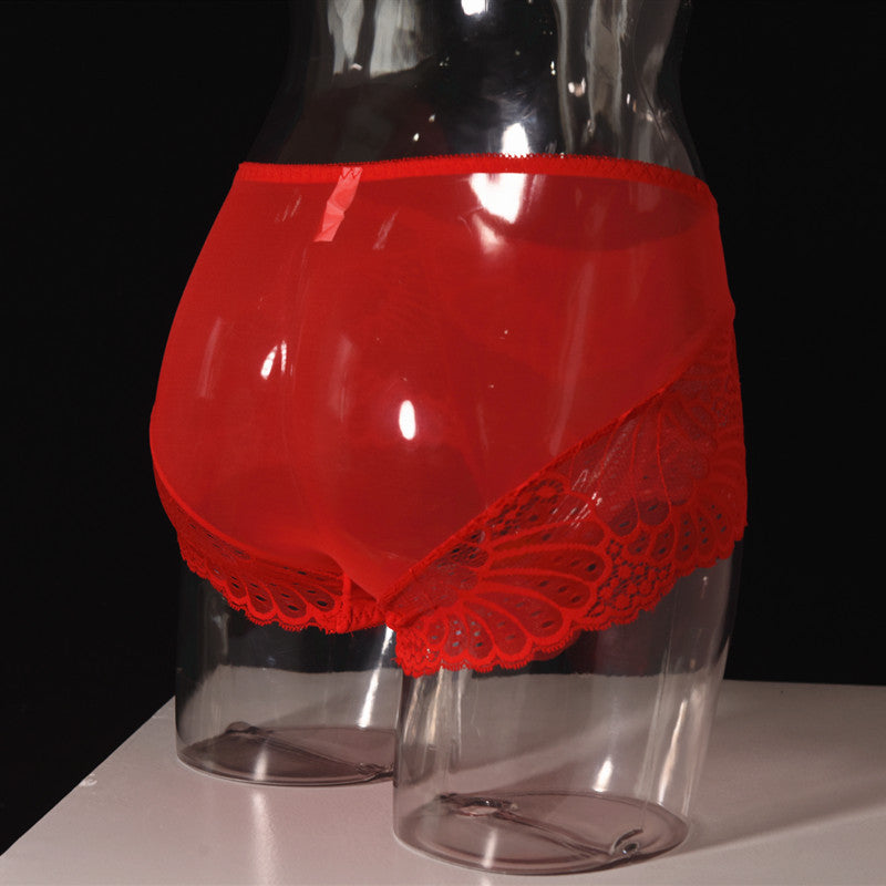 Men's Lace Thong Underwear Fully Transparent Delicate Sexy Fun Plus Size Lace Low Waist Triangle Breathable