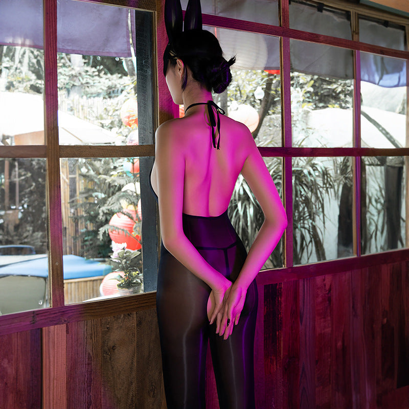 5D Glossy Stockings Bodysuit Sexy See-through Smooth Halter Neck Tie Shaping Bodysuit Open Crotch Temptation Lingerie