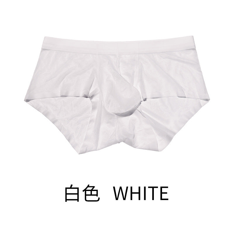 XHN8001Ice Silk Men's Underwear Sexy See-through Fully Transparent Briefs Cool Silky Flowing Sexy Underwear