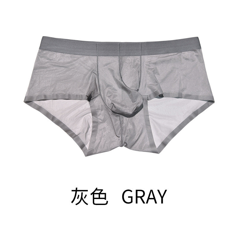 XHN8001Ice Silk Men's Underwear Sexy See-through Fully Transparent Briefs Cool Silky Flowing Sexy Underwear